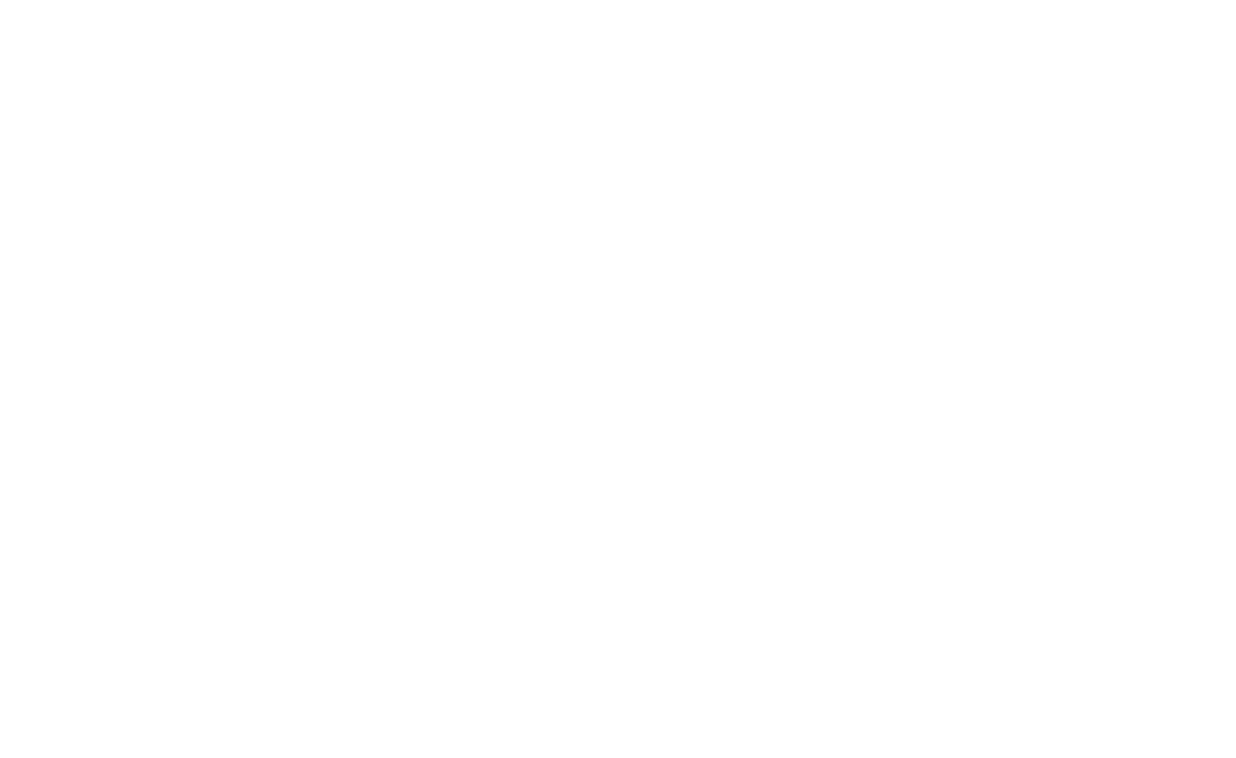 LOGO_academy_white